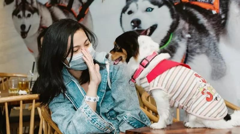 Vì sao ngày nay nhiều người trẻ gọi chó mèo là boss hoàng thượng xưng sen